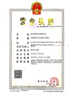 Business License of Legal Entity
